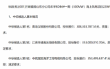 三峽能源山東分公司牟平BDB6#一期(300MW)海上風(fēng)電項(xiàng)目 220kV海纜、35kV海纜采購中標(biāo)候選人公示