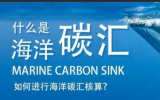 我國應(yīng)將海洋碳匯議題納入“一帶一路”建設(shè)之中！海洋碳匯交易存在的問題及健全完善我國海洋碳匯政策法規(guī)體系的建議