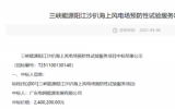 三峽陽江沙扒海上風(fēng)電場(chǎng)預(yù)防性試驗(yàn)服務(wù)項(xiàng)目中標(biāo)公示