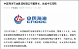 中國(guó)海洋石油集團(tuán)有限公司董事長(zhǎng)、黨組書(shū)記任職