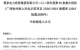 國家電投廣西欽州海上風(fēng)電示范項目中標(biāo)公示