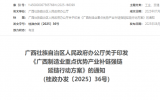《廣西制造業(yè)重點優(yōu)勢產(chǎn)業(yè)補鏈強(qiáng)鏈延鏈行動方案》